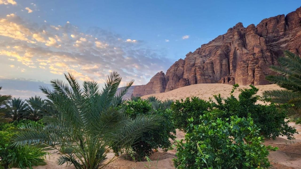 الجوهرة Diamond Plus Villa Al Ula Eksteriør bilde
