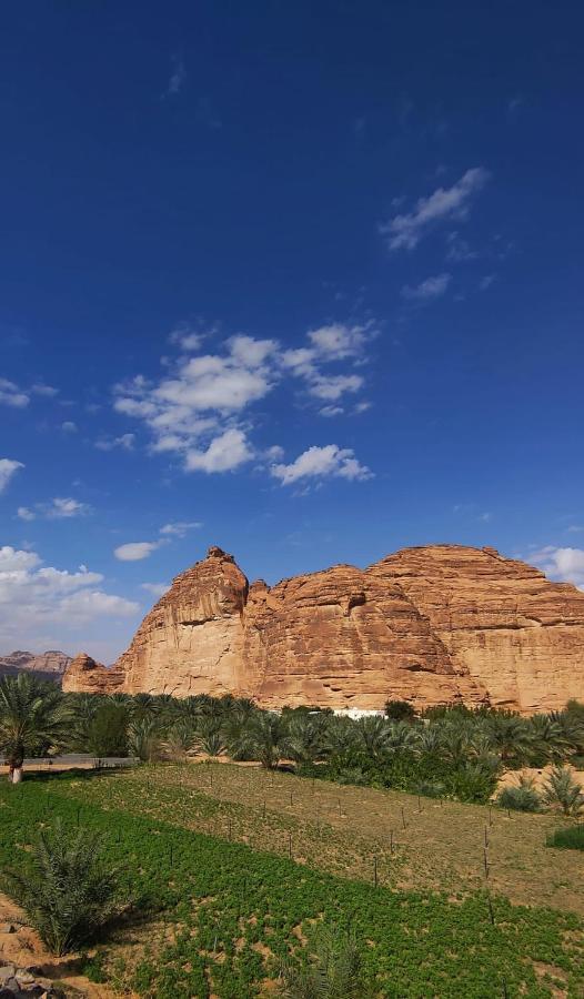 الجوهرة Diamond Plus Villa Al Ula Eksteriør bilde