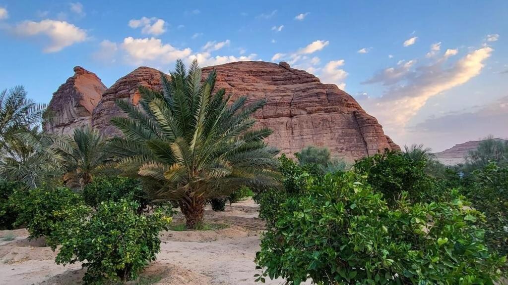 الجوهرة Diamond Plus Villa Al Ula Eksteriør bilde