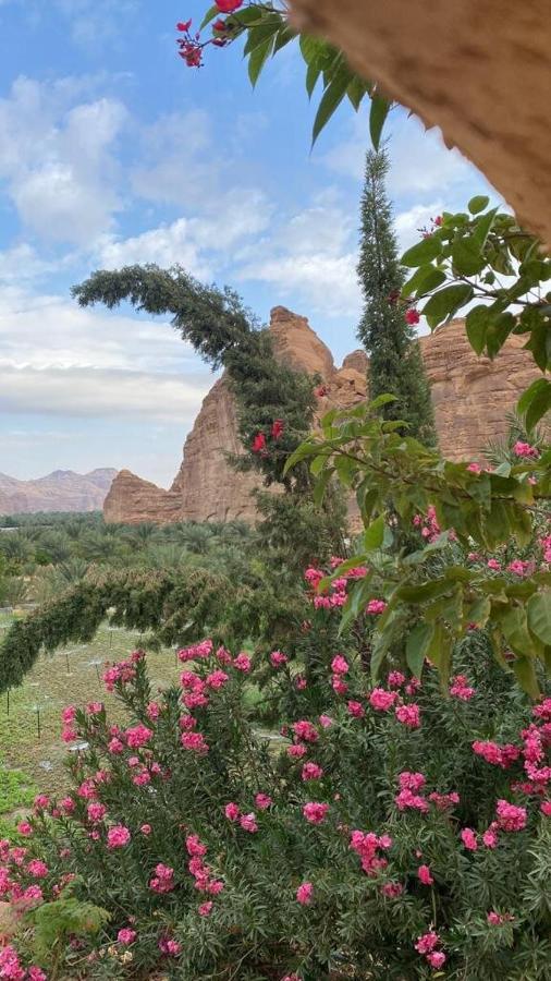 الجوهرة Diamond Plus Villa Al Ula Eksteriør bilde