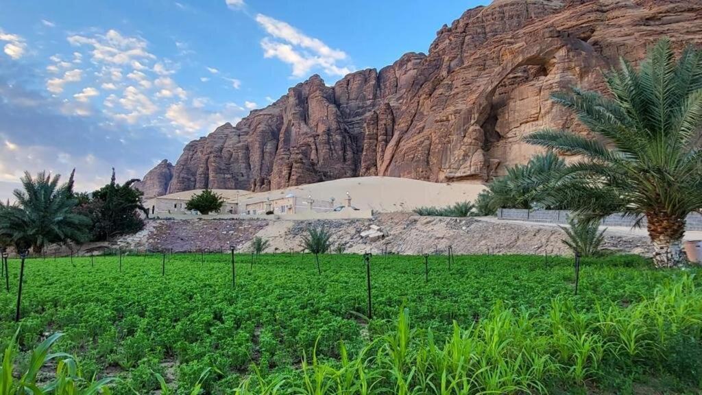 الجوهرة Diamond Plus Villa Al Ula Eksteriør bilde